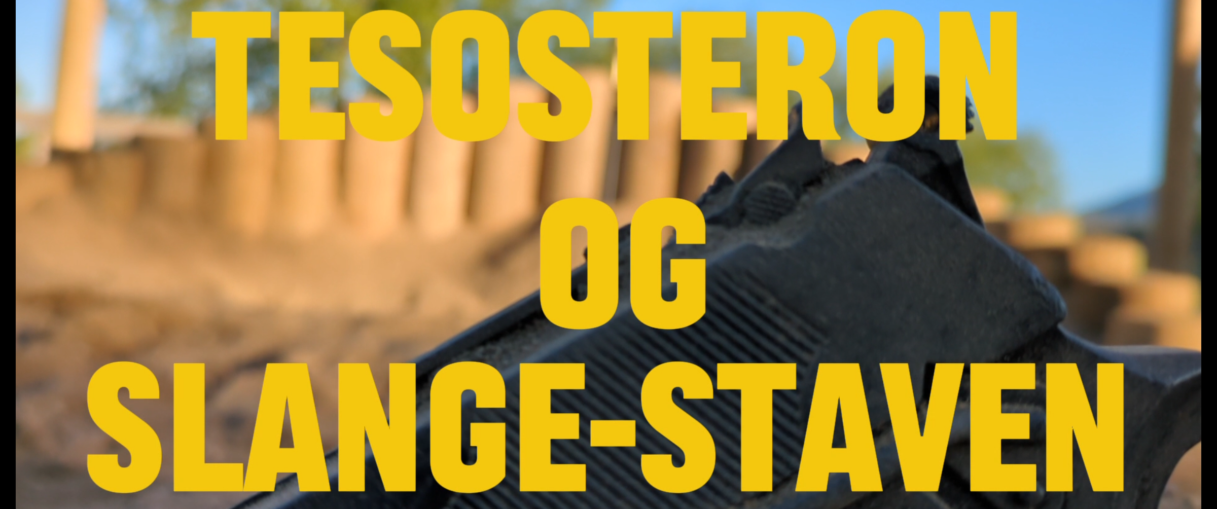 Professor Testosteron